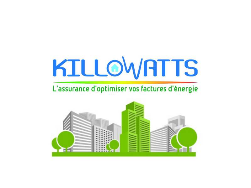 Quelles différences entre KILLoWATTS Rénovation, les associations et les professionnels du bâtiment à Lyon (69)?